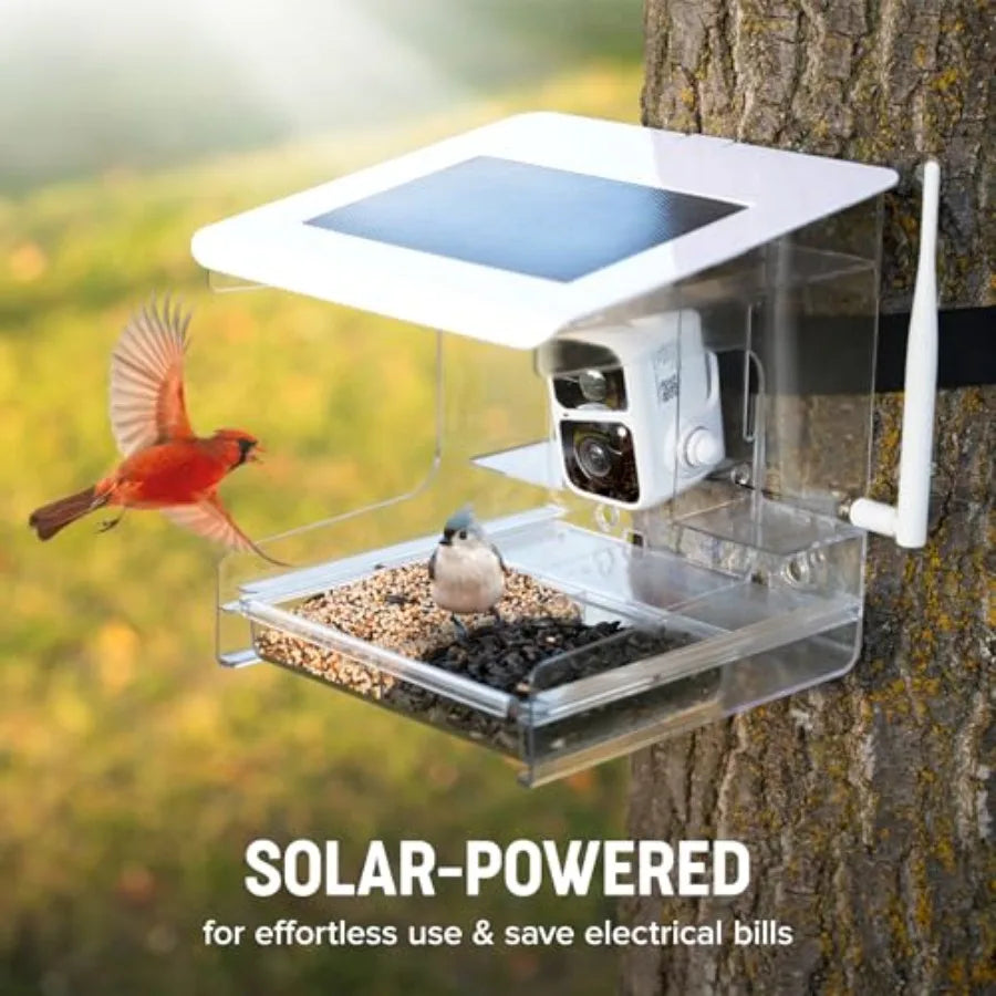 SHXI Smart Bird Feeder With Camera AI BirdID 3MP Images