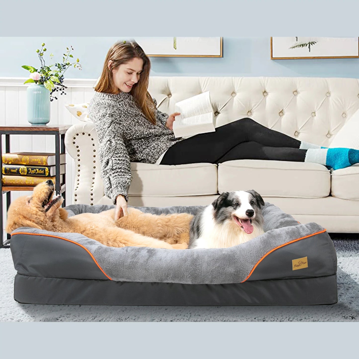 BINGOPAWCN Dog Bed With Removable Washable Cover Anti Allergy Waterproof