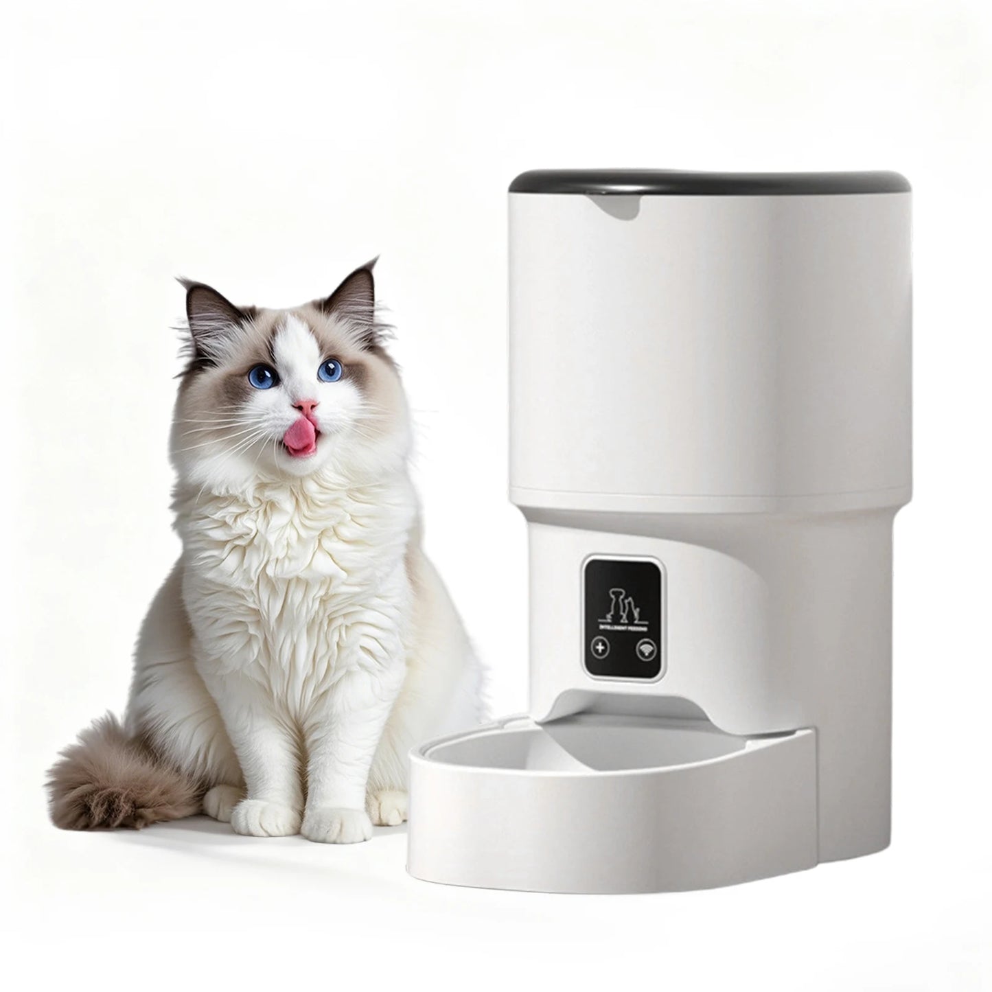 HiMISS Programmable Automatic Pet Feeder For Small Dogs Cats