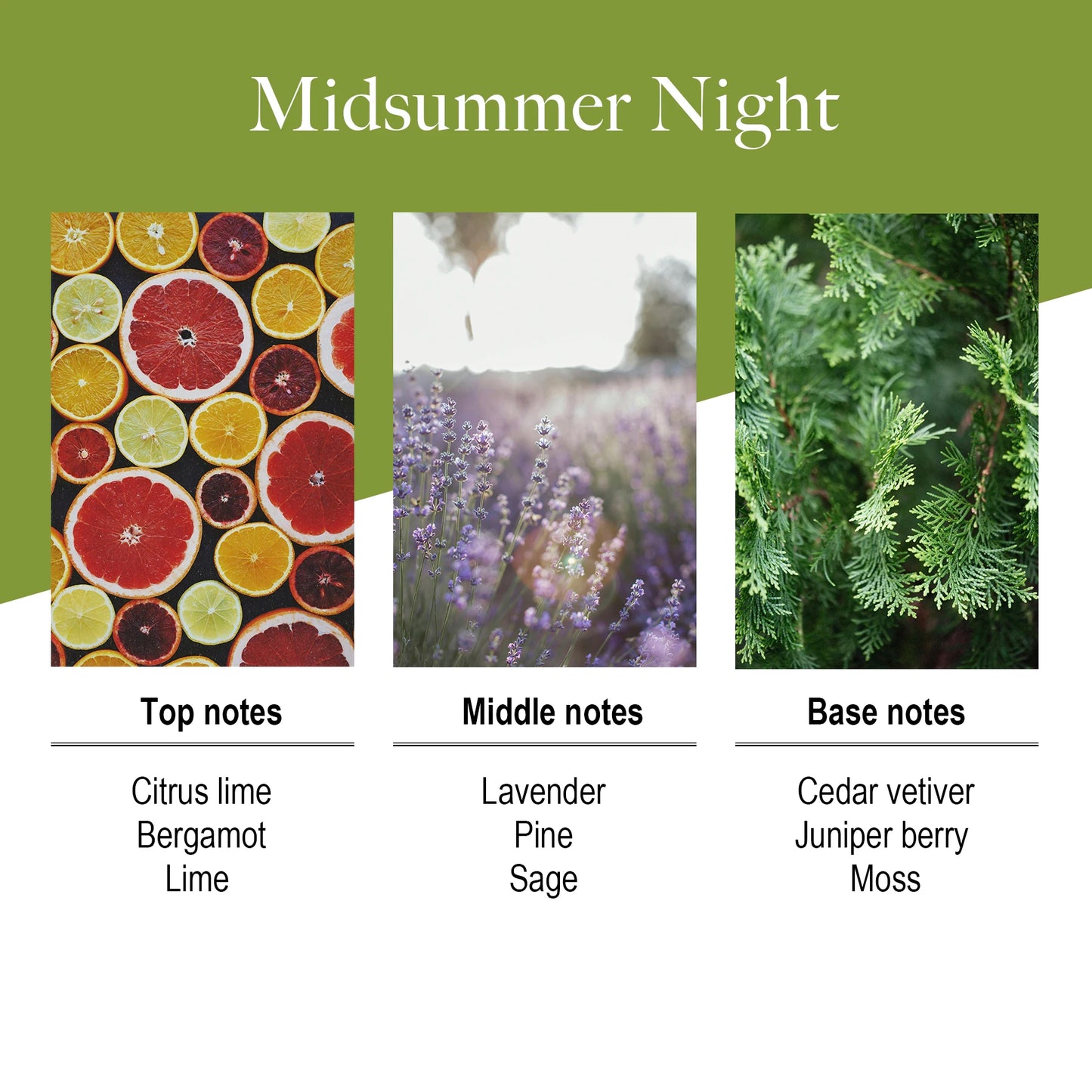 Rattan Reed Diffuser Sticks Midsummer Night Fragrance