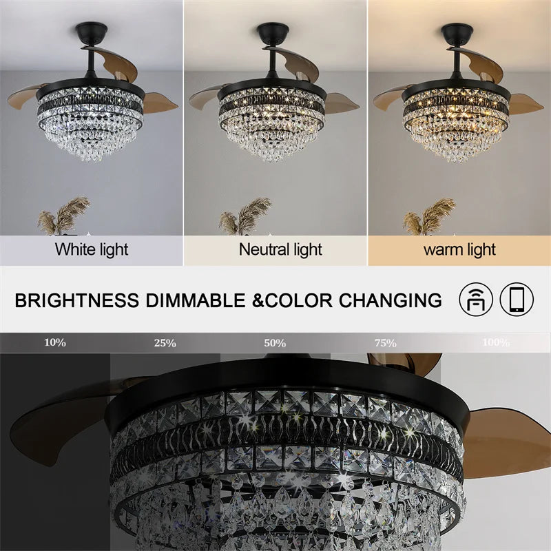 GreeLustr Modern Smart Ceiling Fan With LED Light And Remote