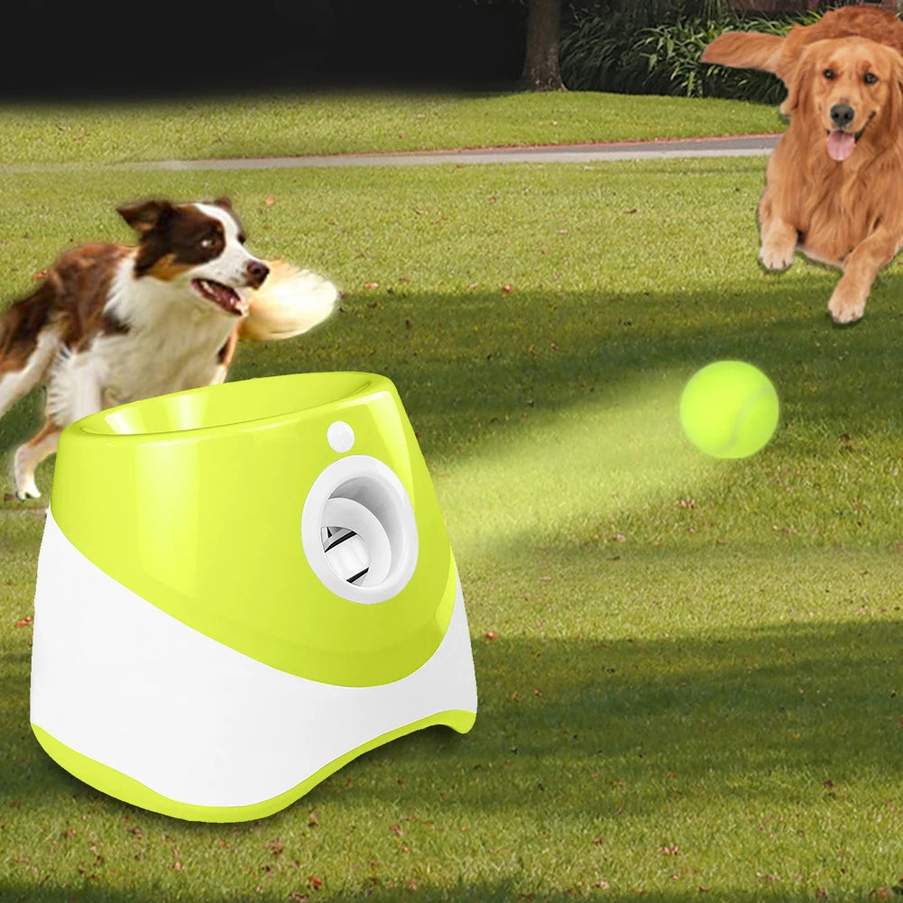 Automatic Dog Ball Launcher for Interactive Pet Play