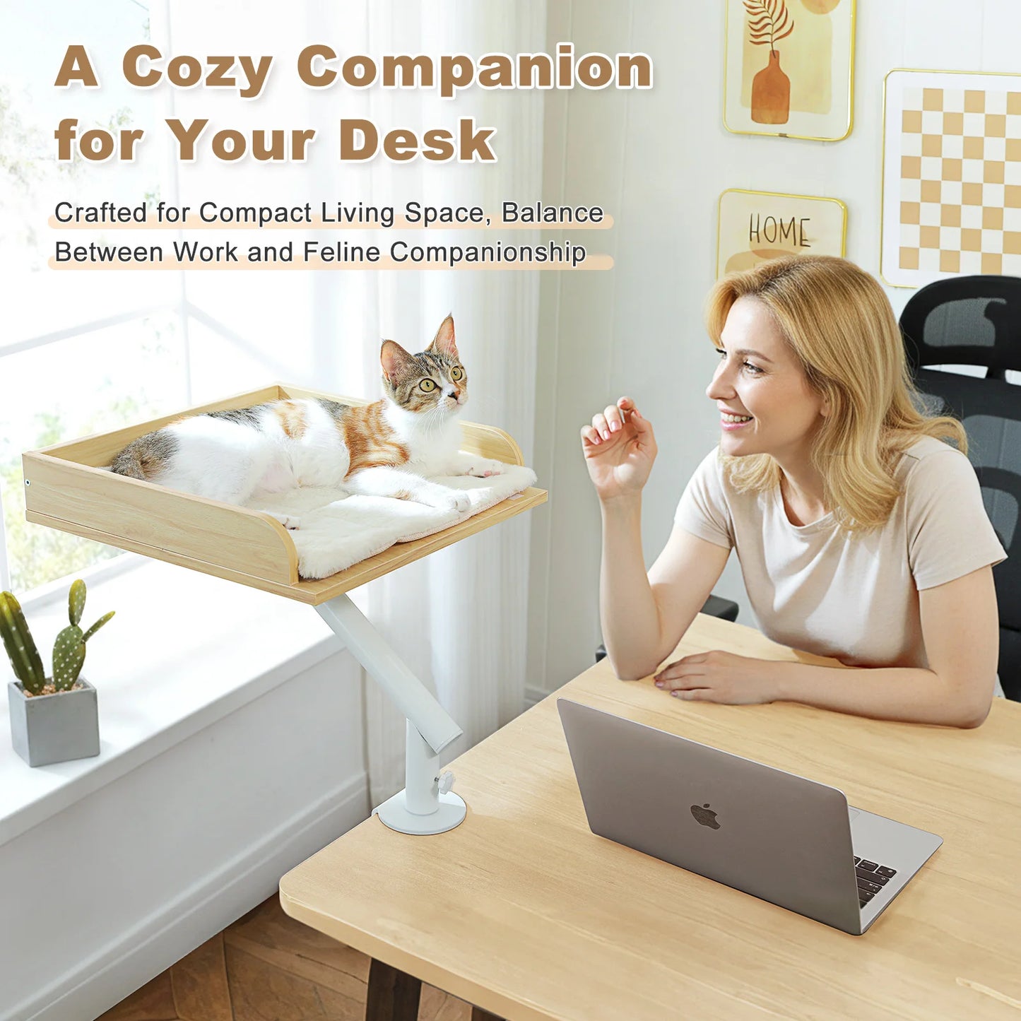 PAWZ Road Cat Desk Bed 360 Degree Rotatable Indoor Hammock