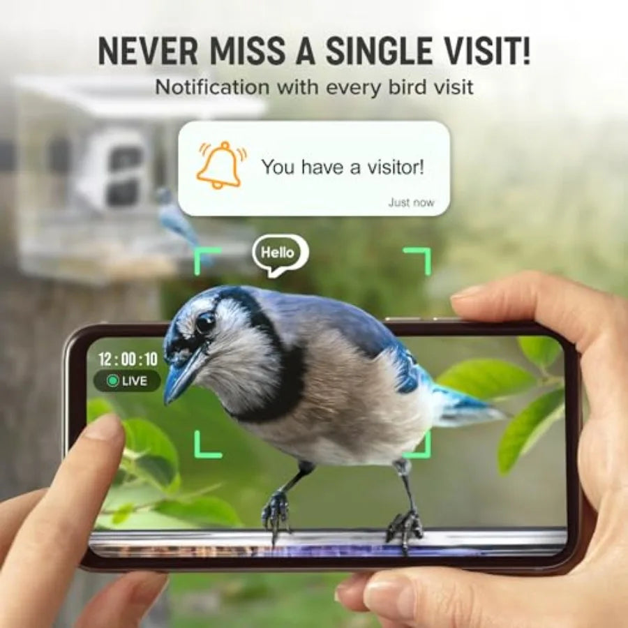 SHXI Smart Bird Feeder With Camera AI BirdID 3MP Images