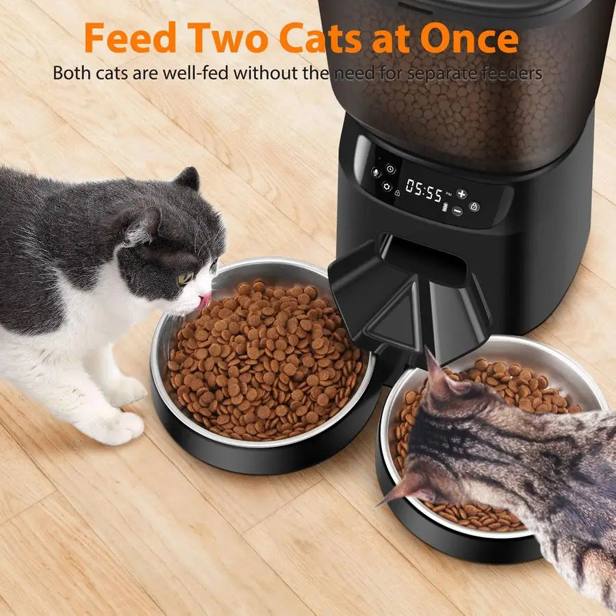 Automatic Dual Cat Feeder With Timer For Two Cats Bowls