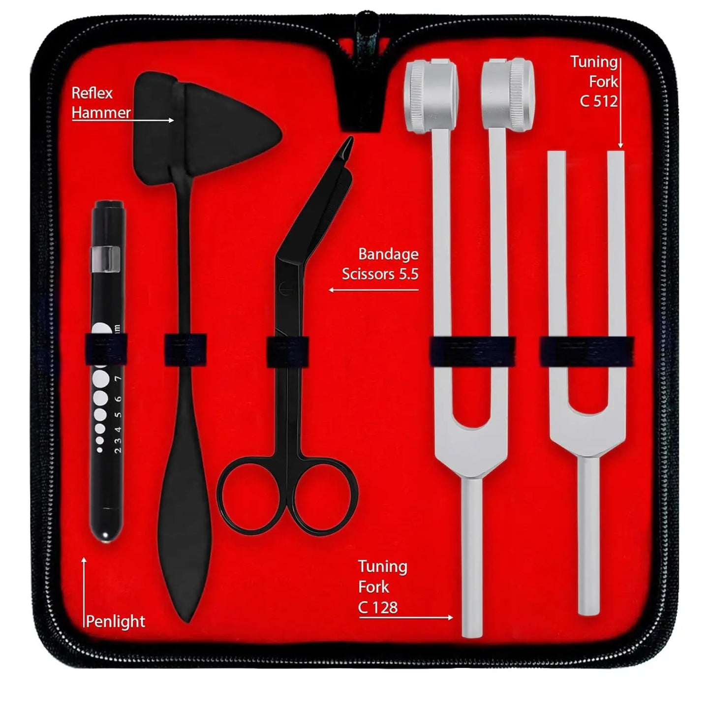 Nurse Starter Kit With Stethoscope Otoscope And BP Monitor