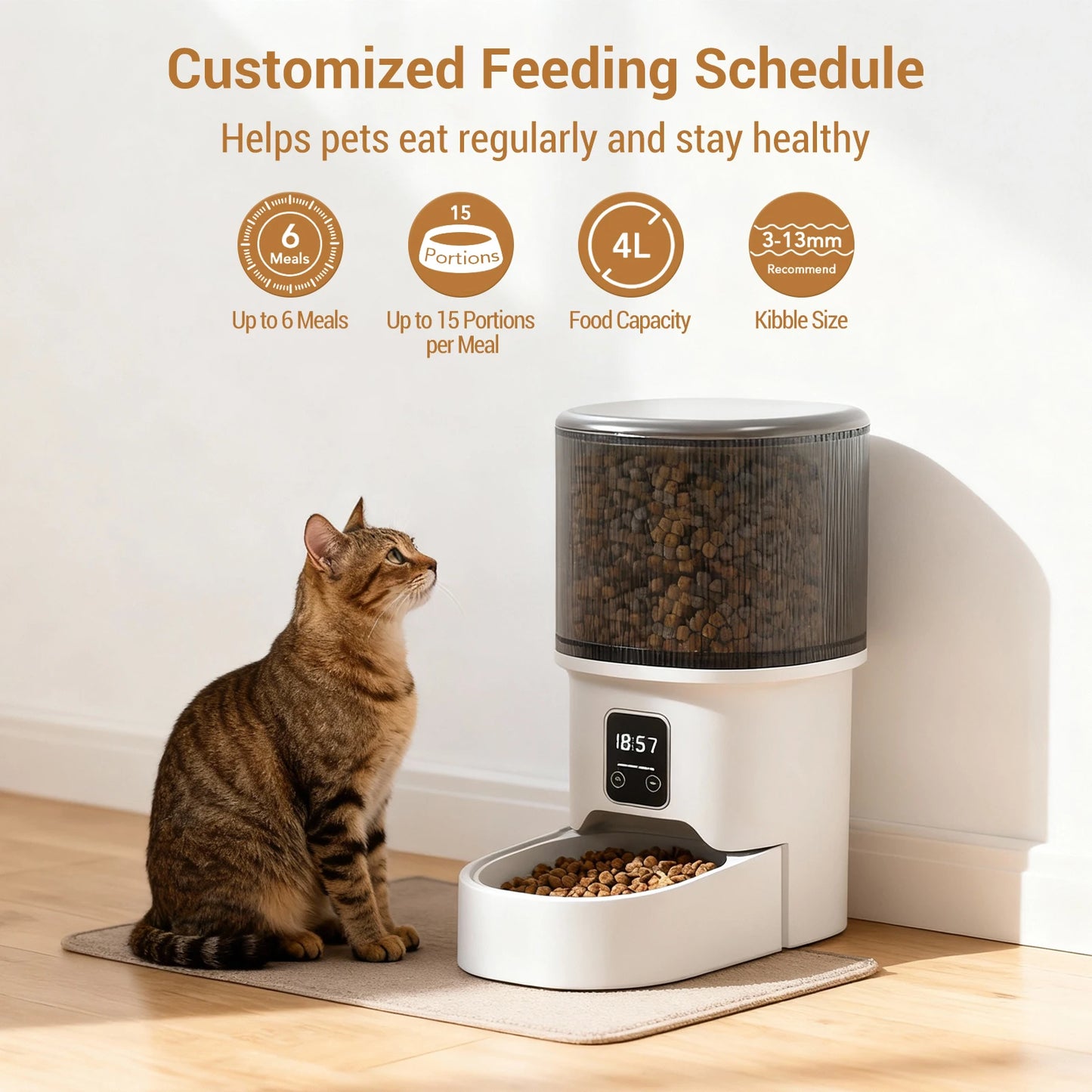 HiMISS Programmable Automatic Pet Feeder For Small Dogs Cats