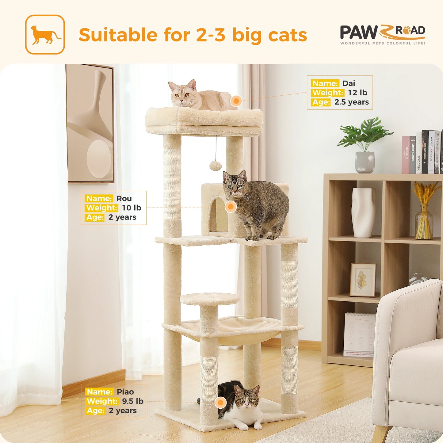 PAWZ Road Five Level Cat Tree Indoor Cat Tower Sturdy