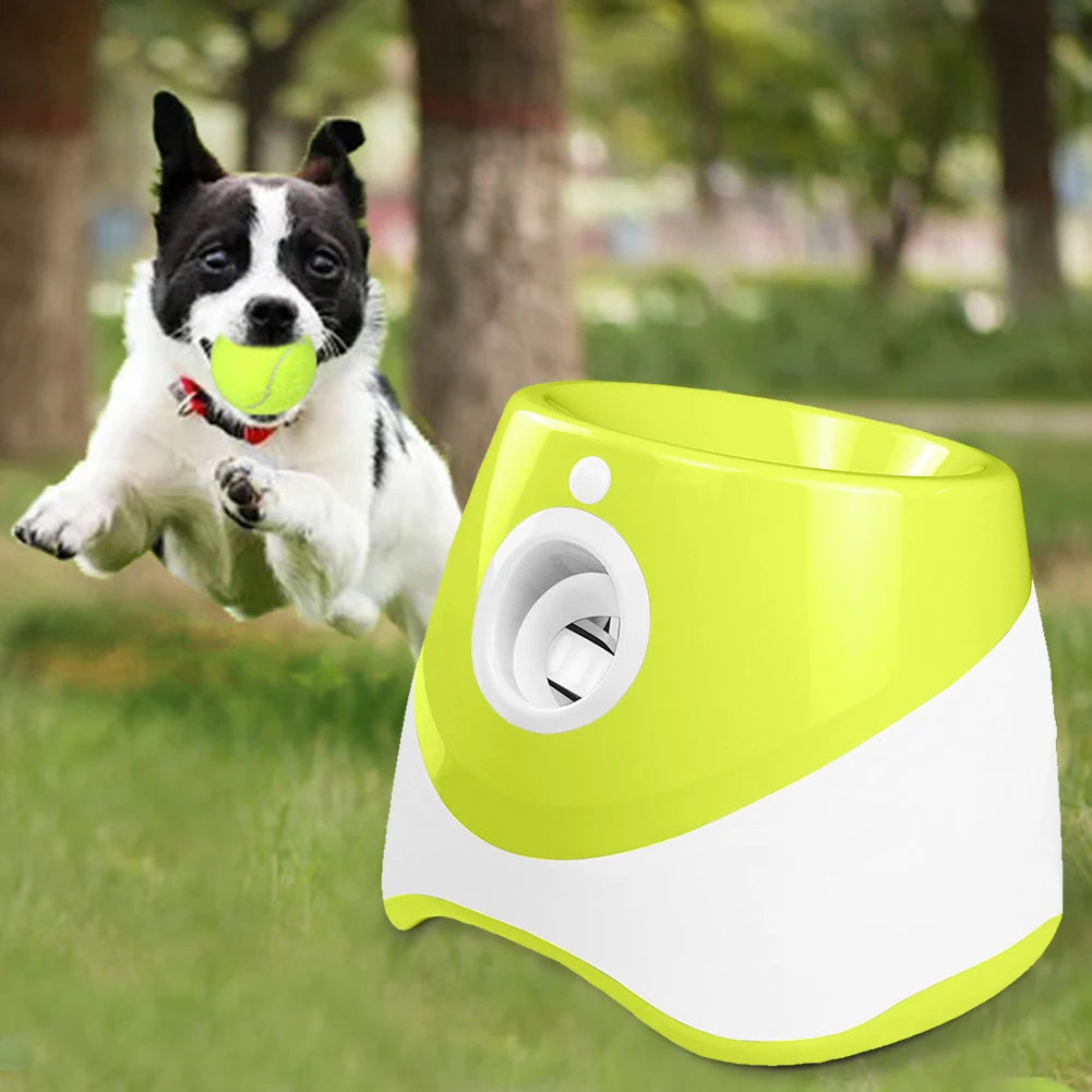 Automatic Dog Ball Launcher for Interactive Pet Play
