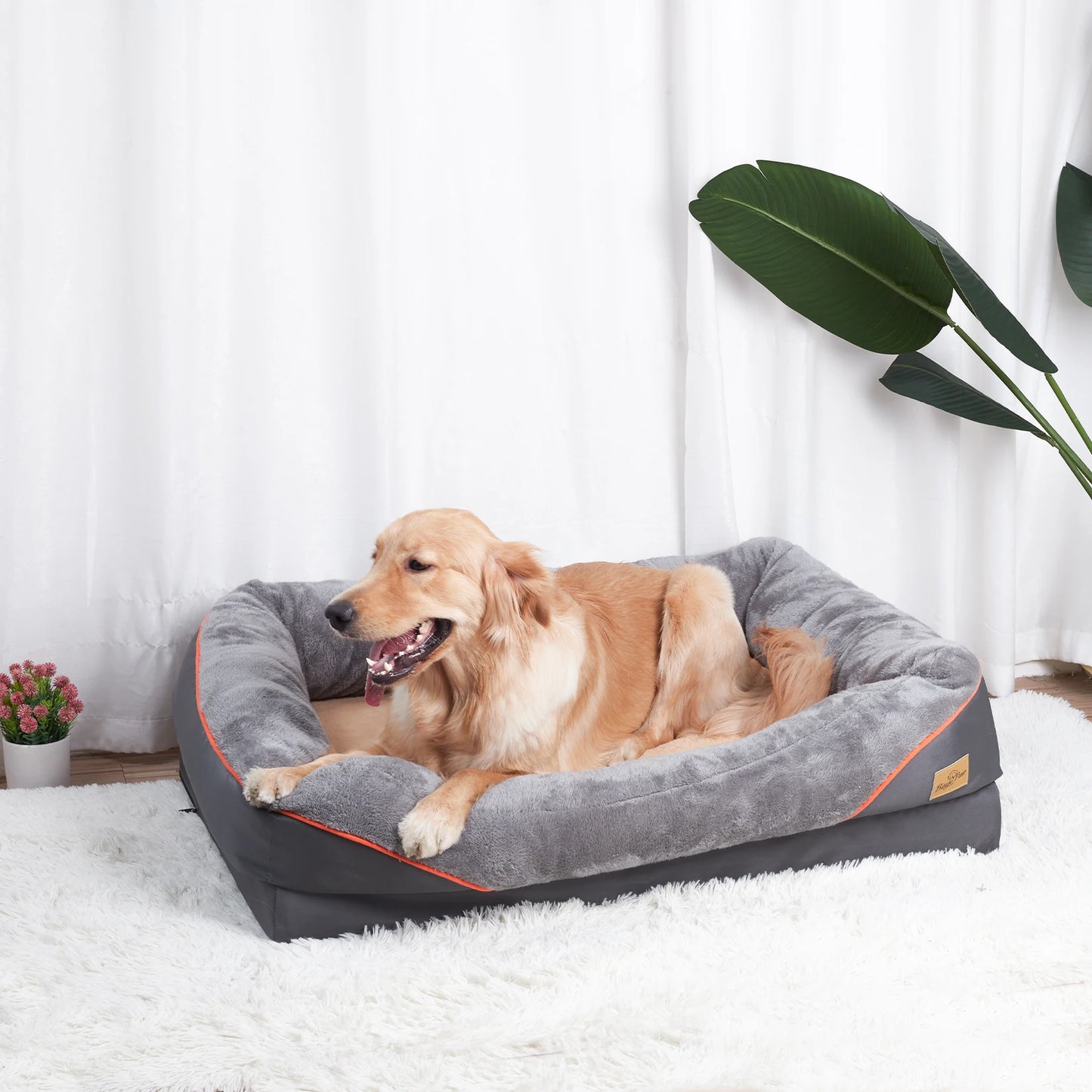 BINGOPAWCN Dog Bed With Removable Washable Cover Anti Allergy Waterproof