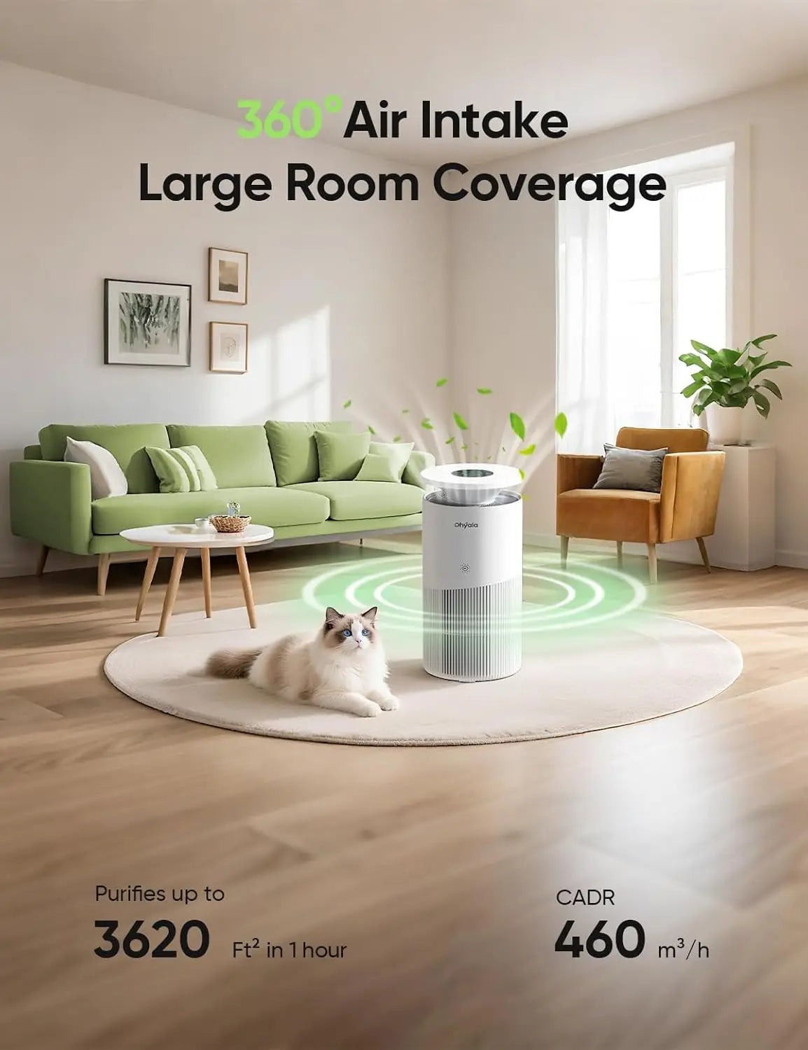 Room Air Purifier With H13 True HEPA For Pets WiFi