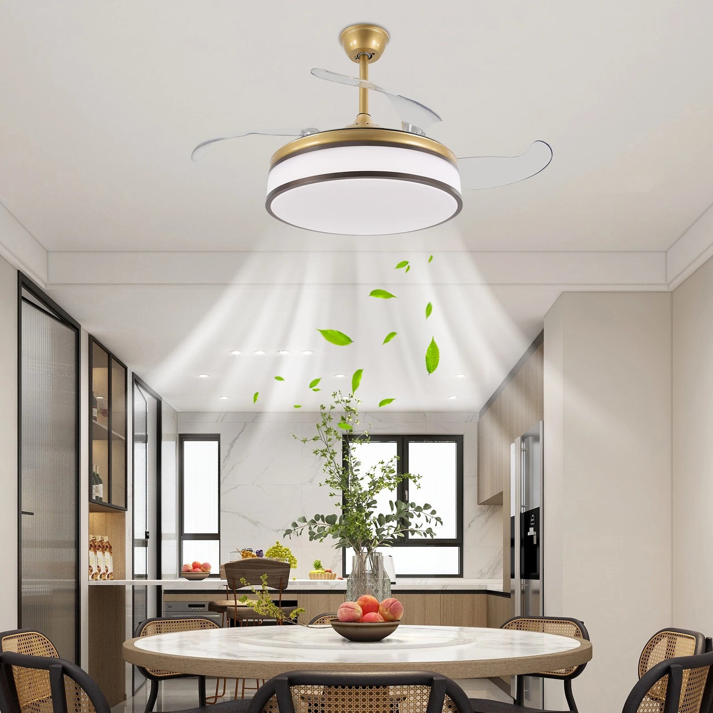 Ceiling Fan Pendant Light With Remote Control For Bedroom Kitchen