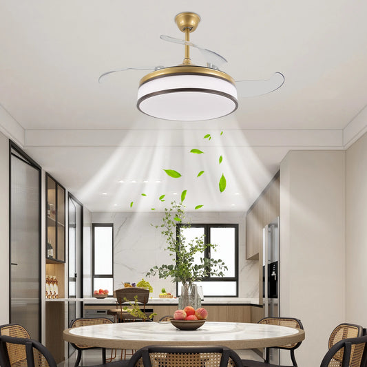 Ceiling Fan Pendant Light With Remote Control For Bedroom Kitchen