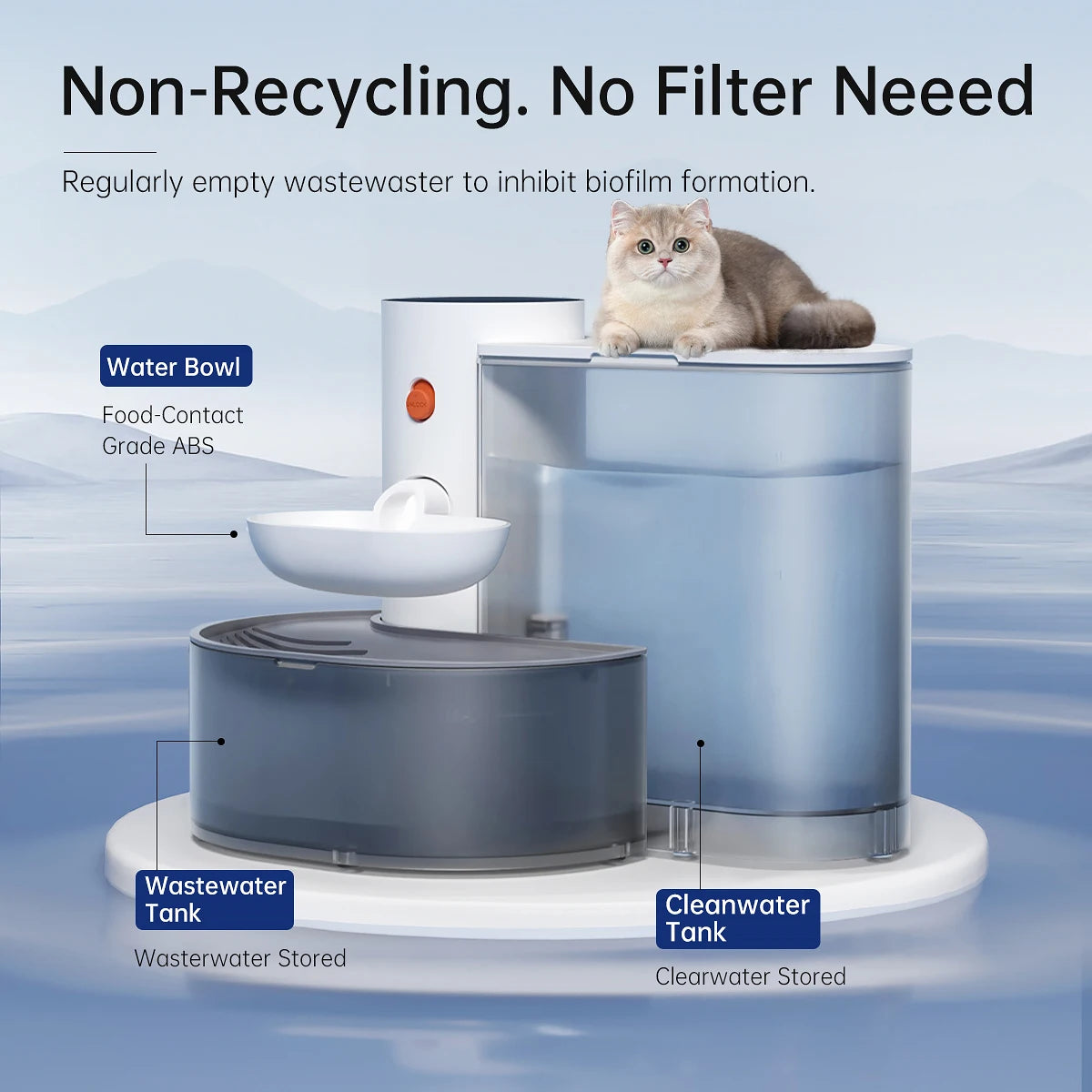 Smart Pet Water Dispenser and Wireless Auto Feeder for Cats